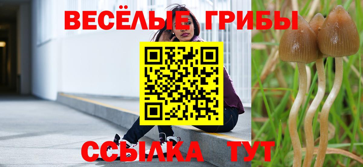 Галлюциногенные грибы мухоморы Томск