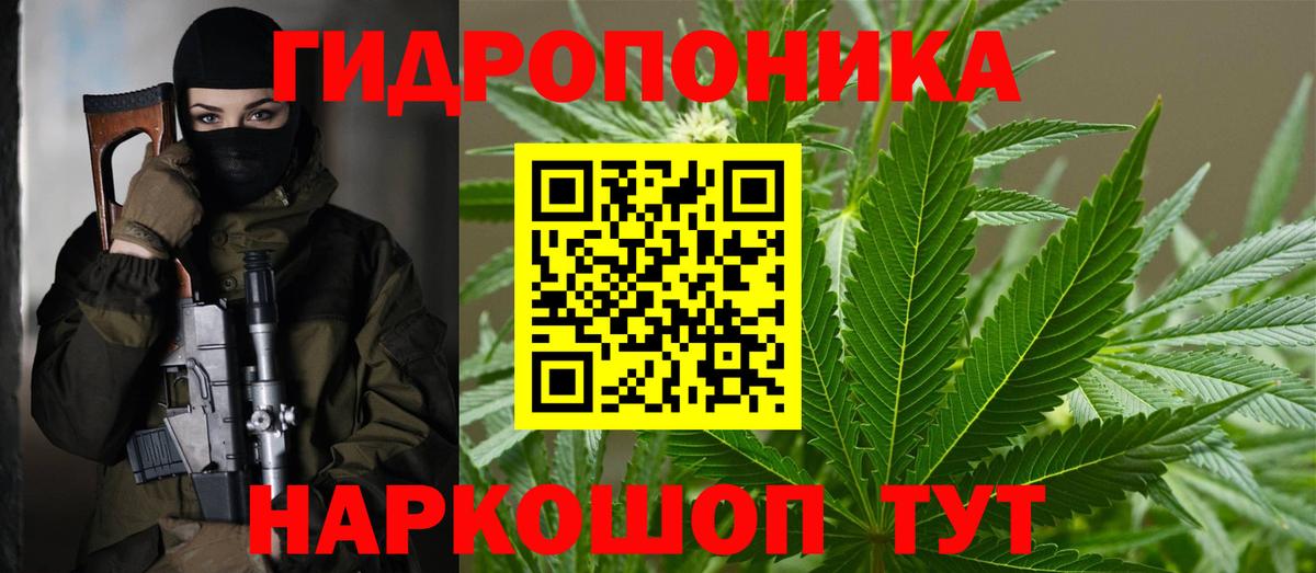 МАРИХУАНА Ganja  Вход с VPN  Томск  Бошки марихуана планчик  Марихуана конопля  Шишки марихуана конопля 