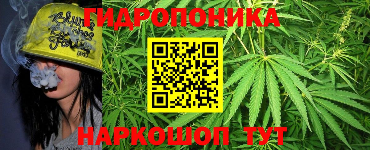 Бошки марихуана план Томск